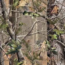 Image of RealTree APG camo pattern used in Bear Legion
