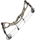 image of a Hoyt Charger compound bow