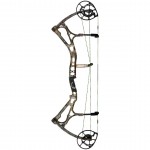 Bear Motive 6 - a hybrid cam compound bow